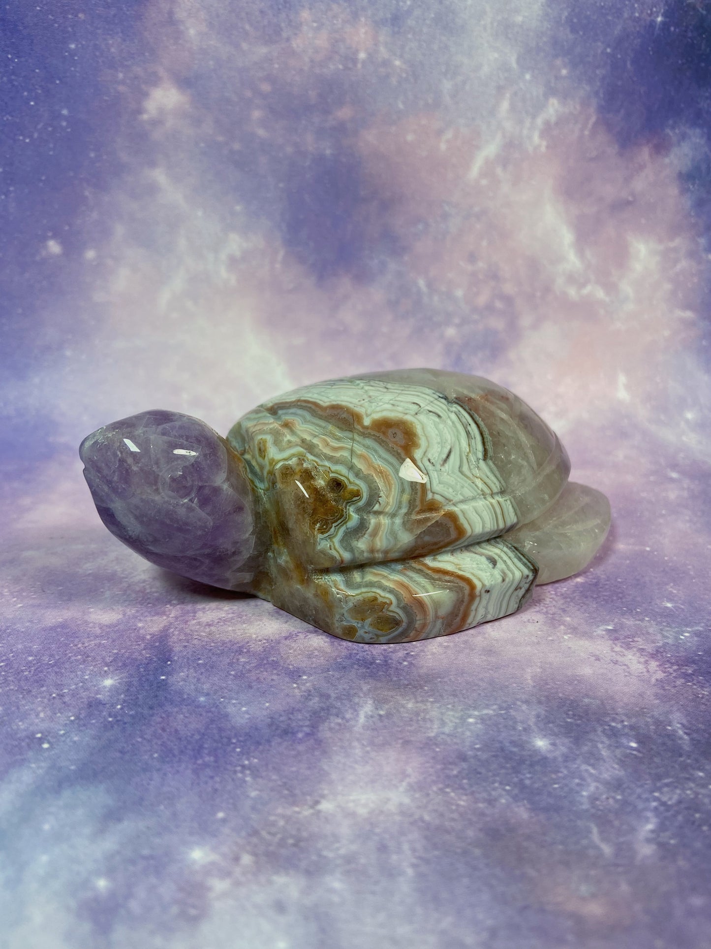 Crazy Lace Amethyst Sea Turtle