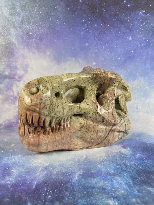Picture Jasper Dinosaur Skull