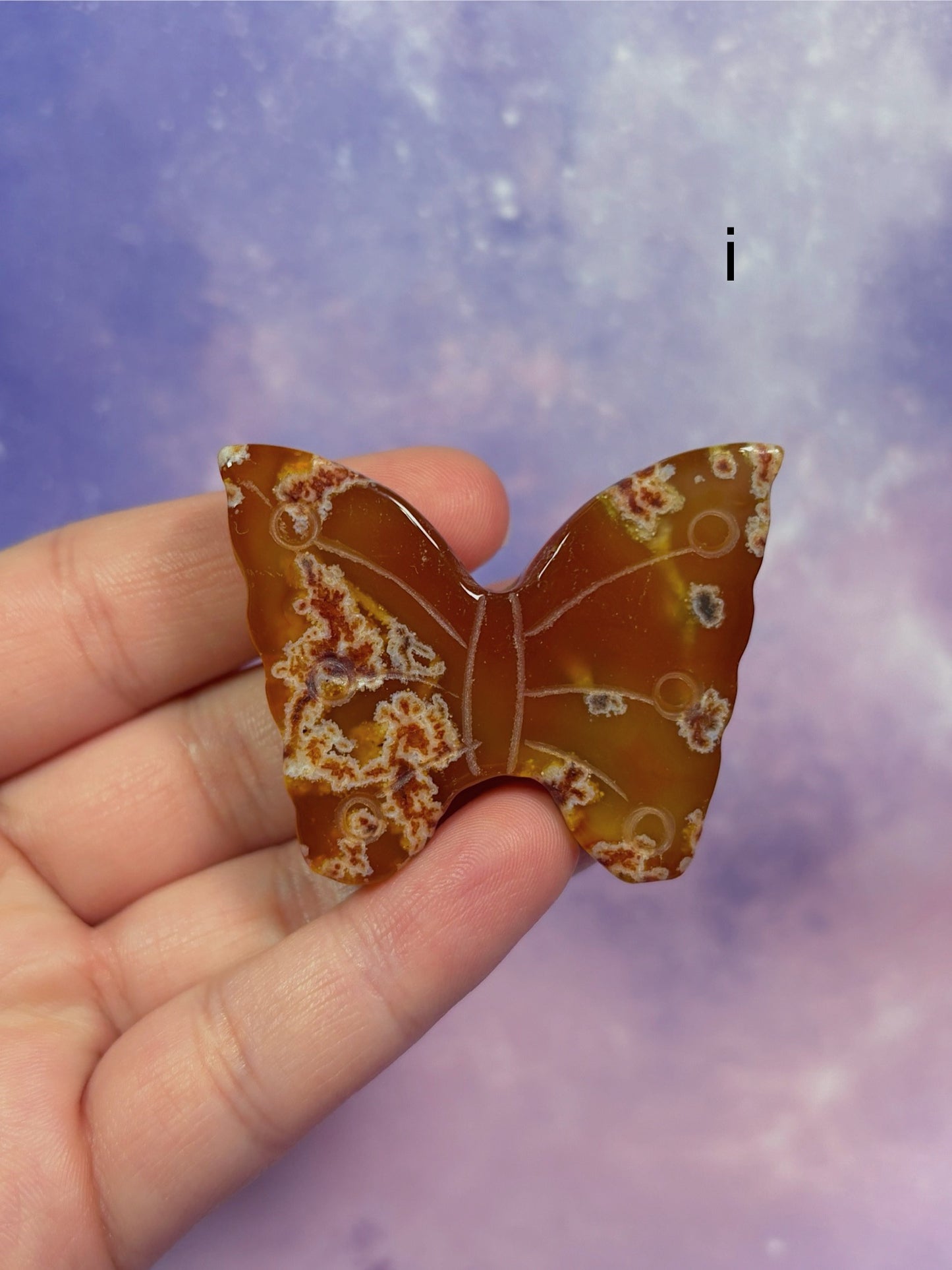 Carnelian Butterfly