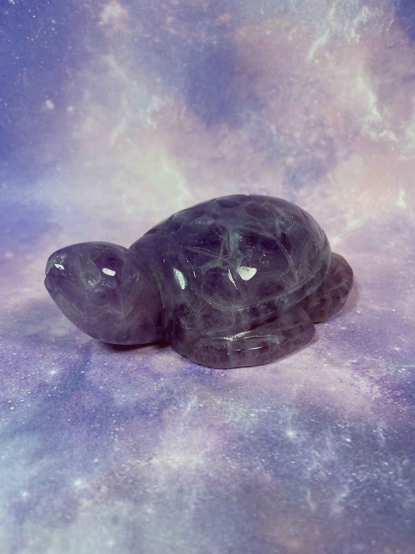 Crazy Lace Amethyst Sea Turtle