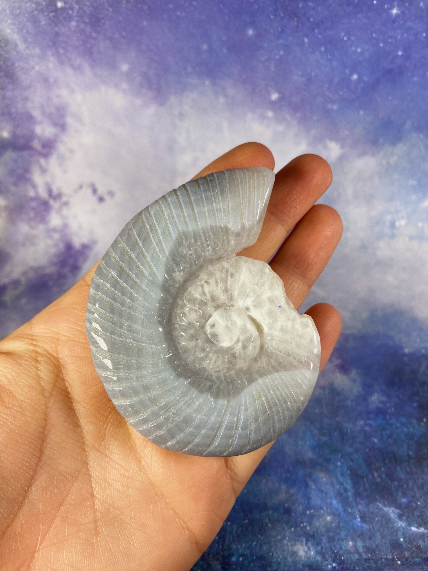 Agate Shell Carving