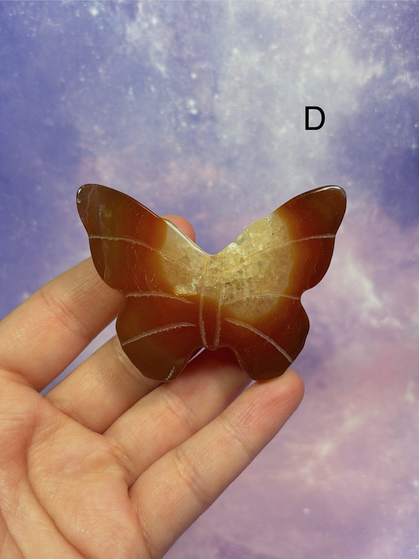 Carnelian Butterfly