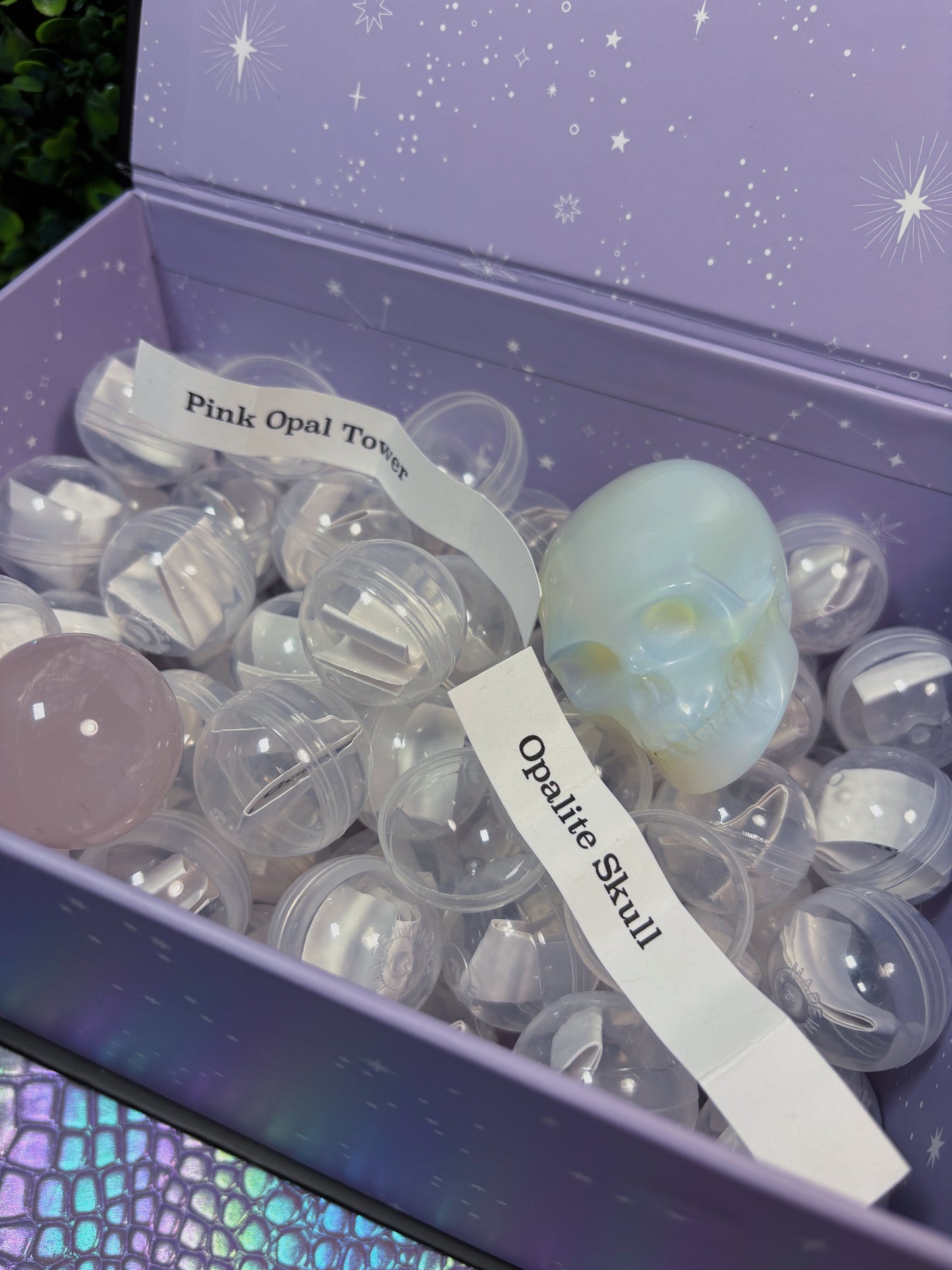 Mystery Capsules