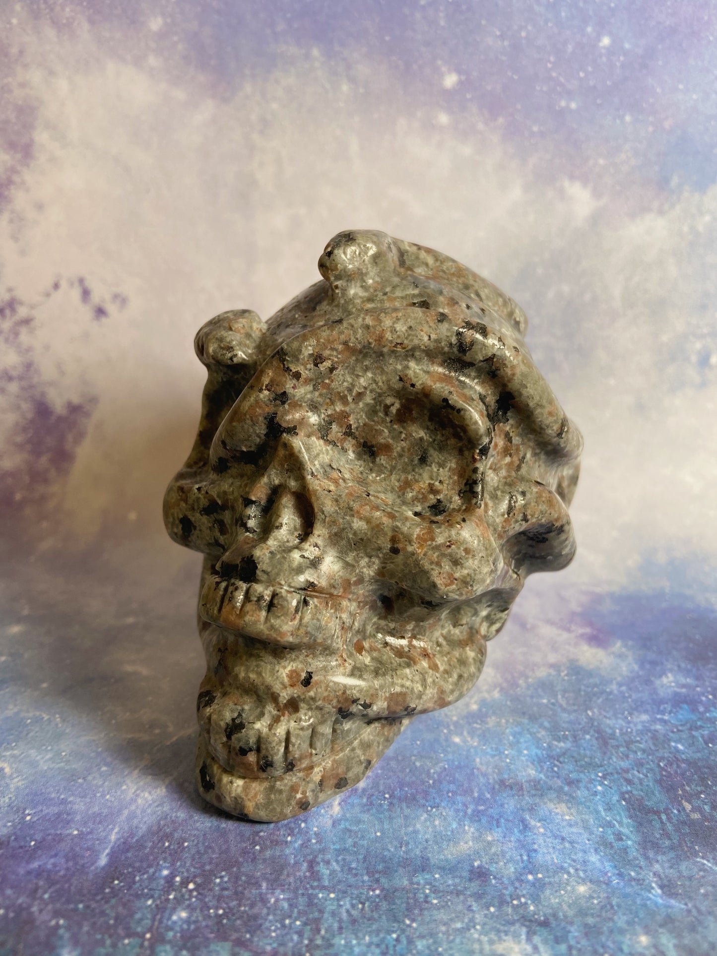 Yooperlite Snake Skull