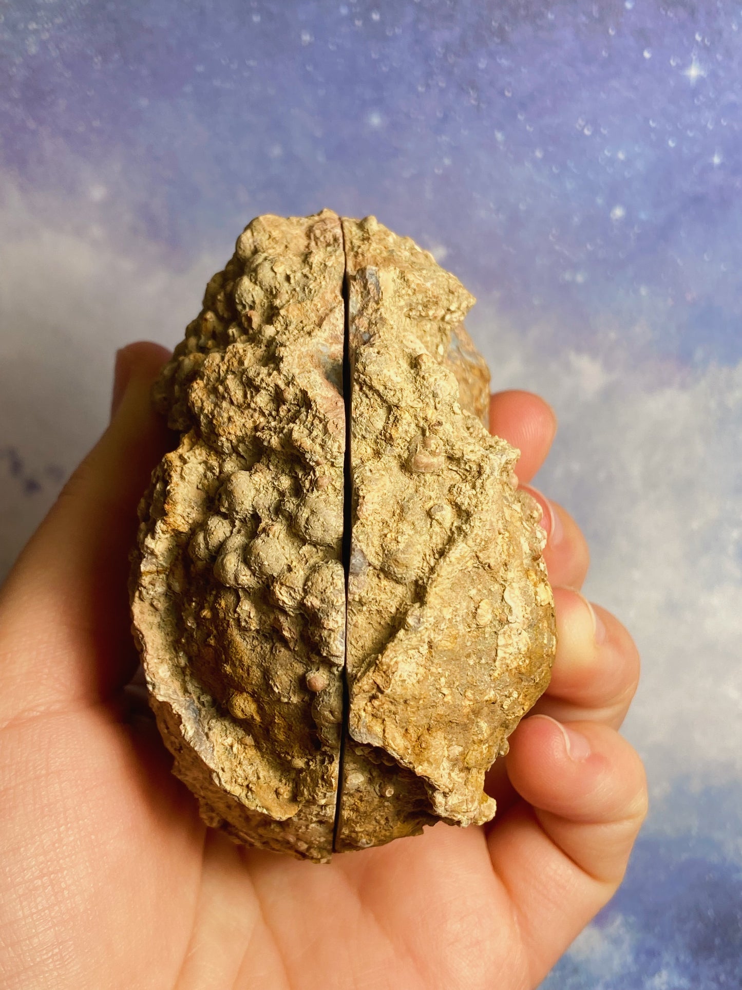 Druzy Agate Geode with Quartz